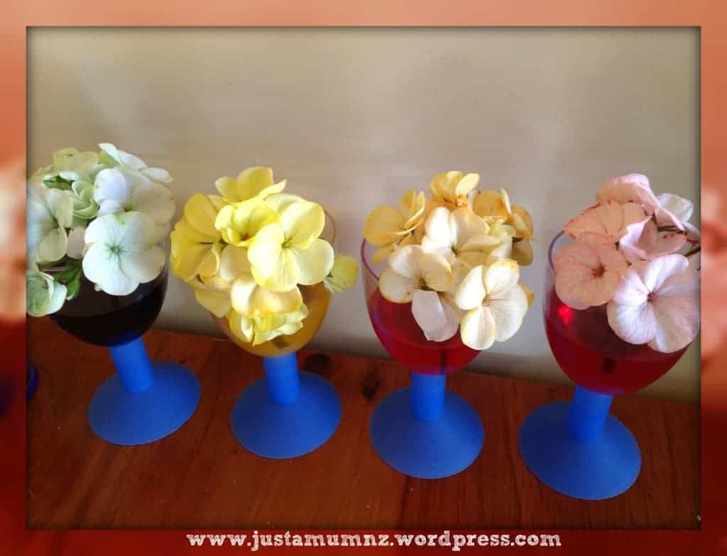 Coloured Flowers in wine cups