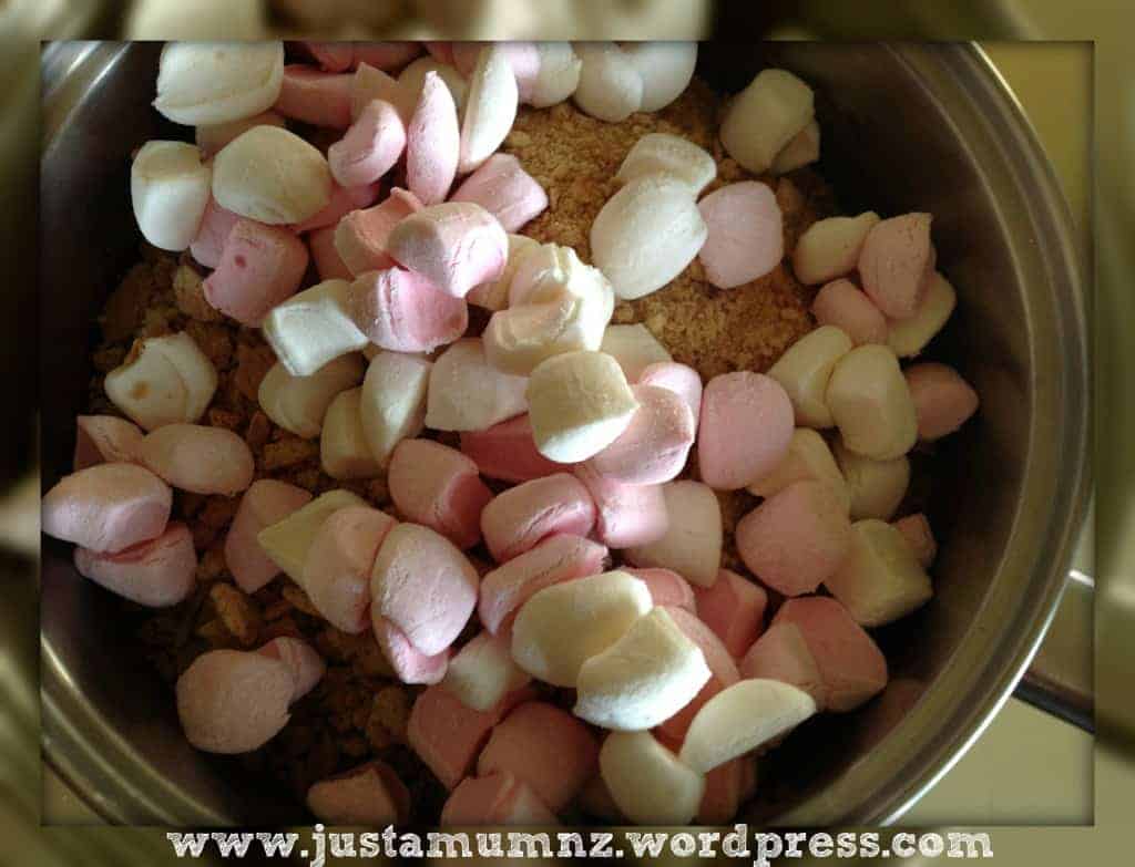 Marshmallow Slice dry Ingredients