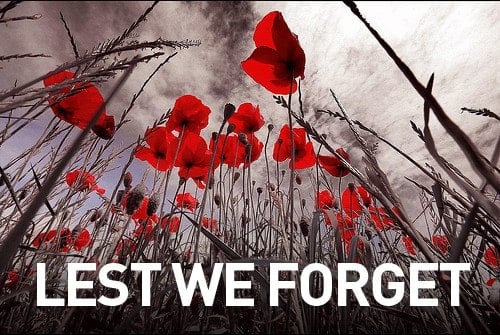 Anzac Day - Lest We Forget Poppies