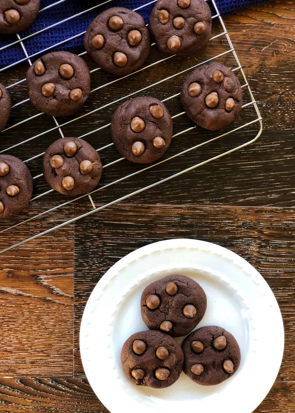Easy Chocolate Biscuits 