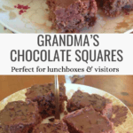 The Best Chocolate Squares for Lunchboxes & Sharing Pinterest Pin