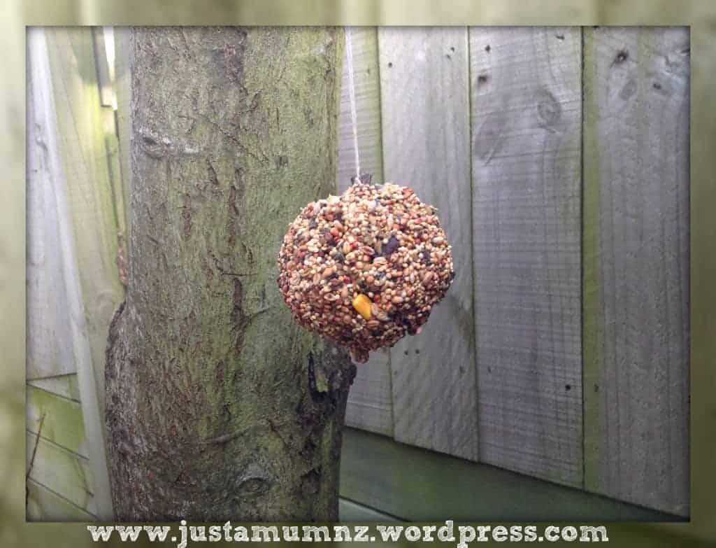 Birdfeeder hung off a tree