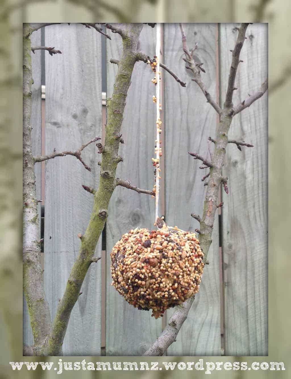 How to make a bird feeder