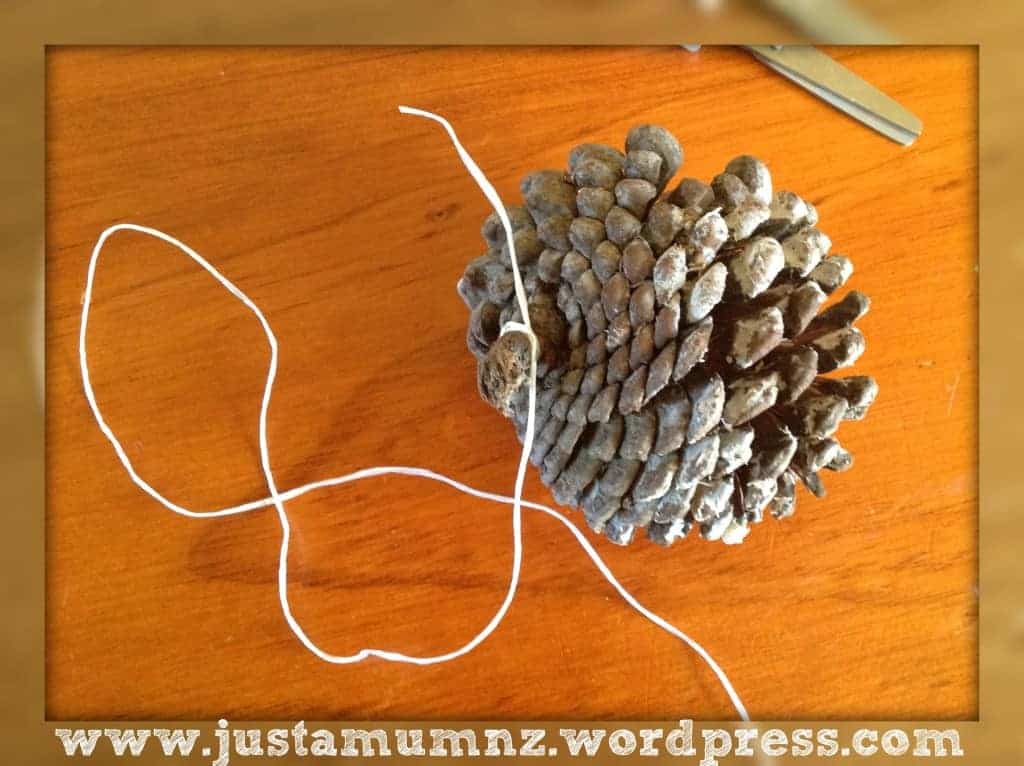 Birdfeeder tying the string