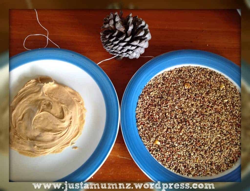 Birdfeeder setting up the peanut butter and seeds