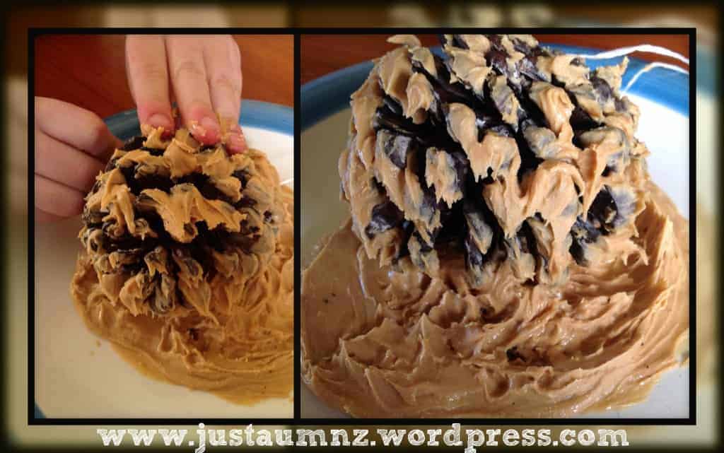 birdfeeder dipping pinecone in peanut butter