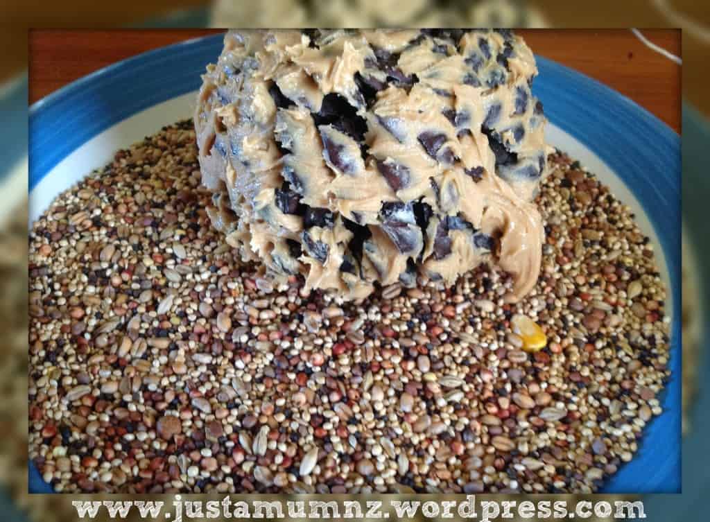 Birdfeeder covering in seeds