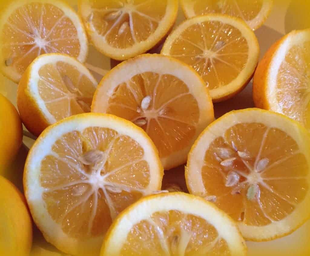 Slices of Lemons! 