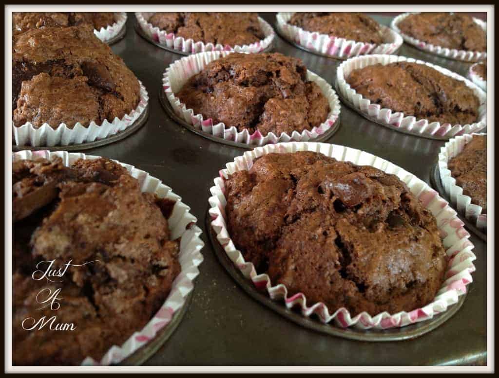 Double Chocolate Chip Muffins 