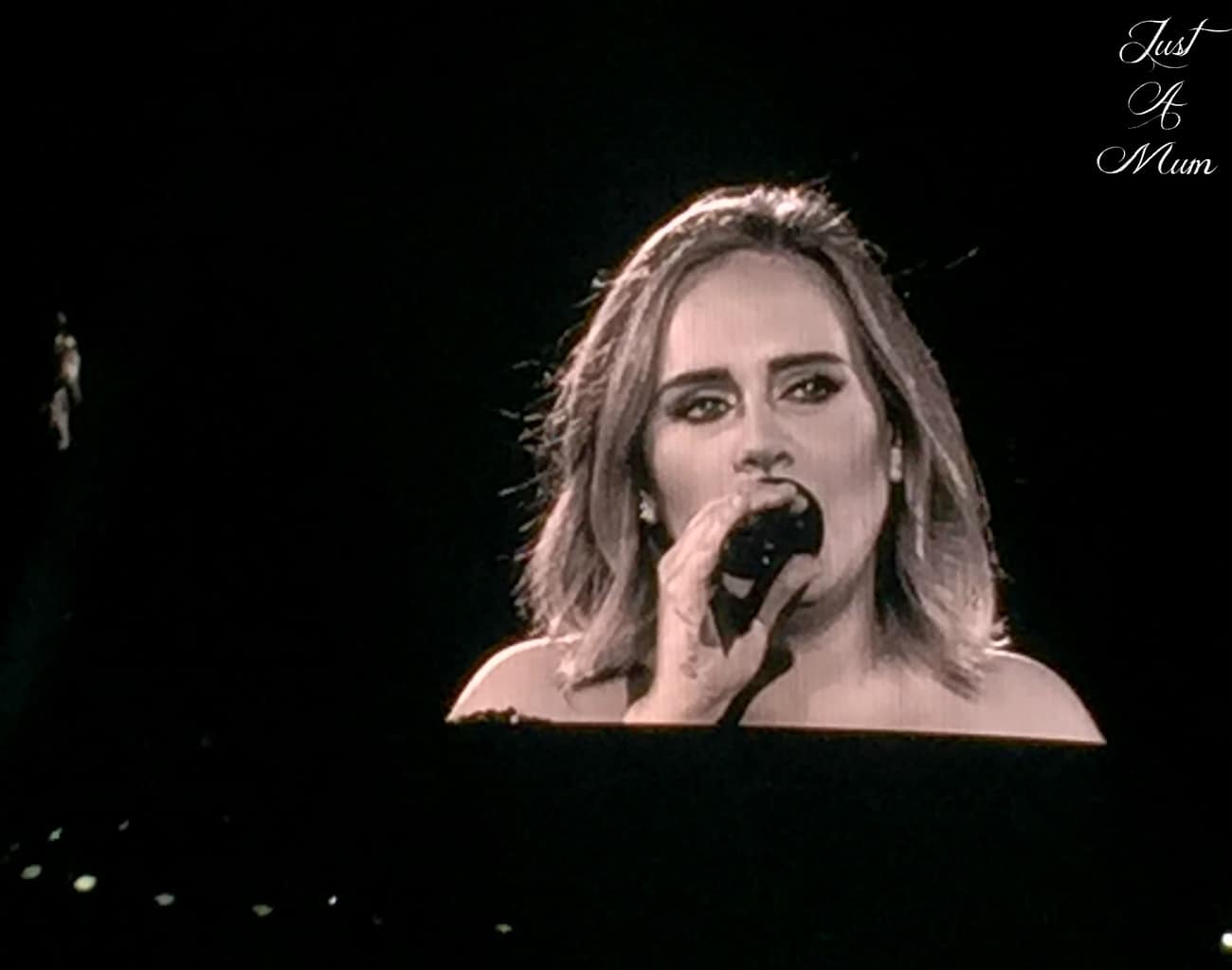 Just A Mum - Adele Auckland 2017