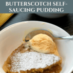 Easy Butterscotch Self-Saucing Pudding Recipe Pinterest Pin