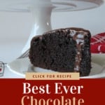 Best Ever Chocolate Cake Pinterest Pin