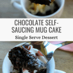Easy Single Serve Chocolate Dessert in a Mug Pinterest Pin