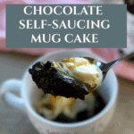 Quick Chocolate Mug Cake Recipe Ready in Minutes Pinterest Pin