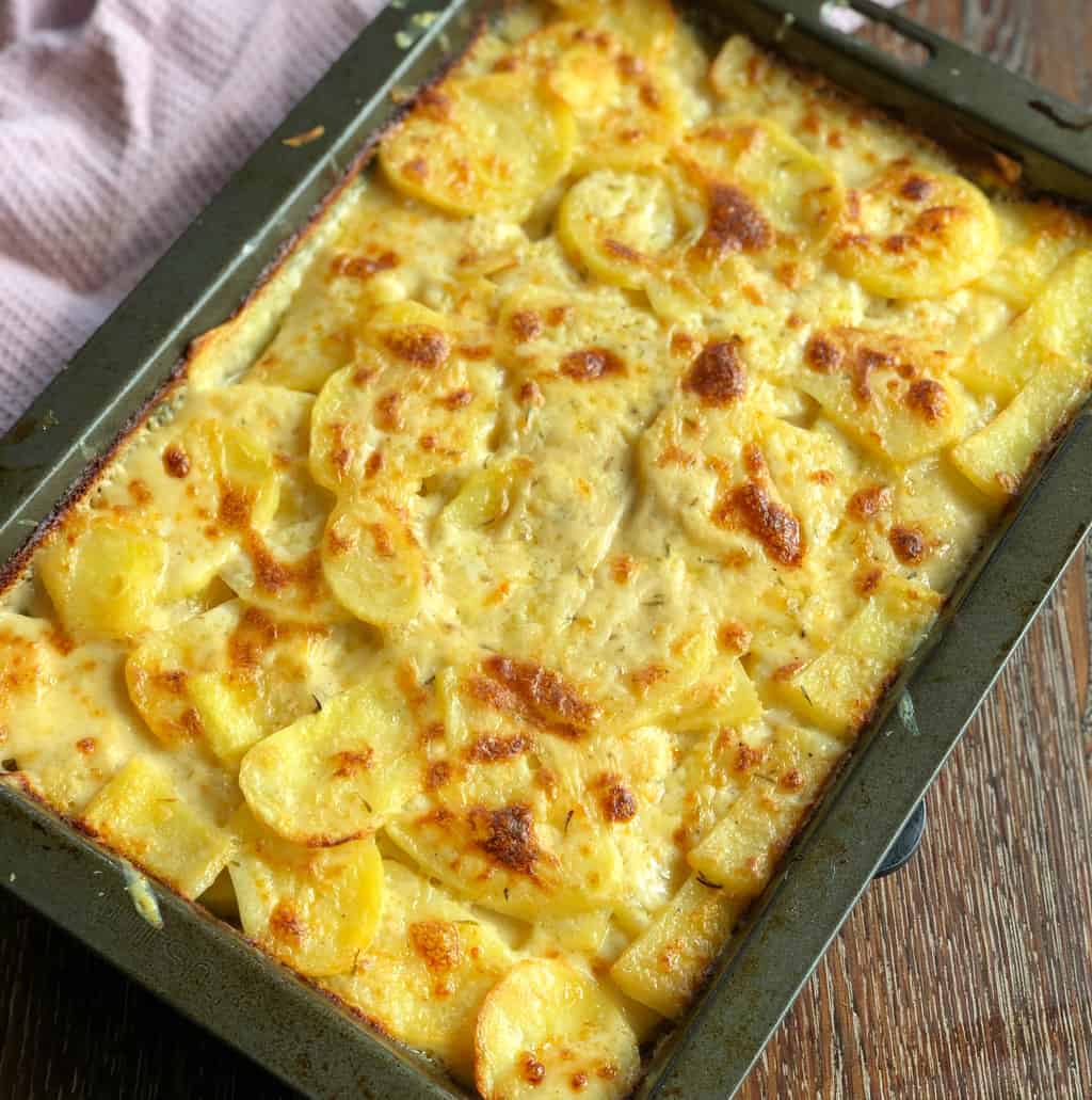 Creamy Scalloped Potatoes with Cheese • MidgetMomma