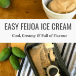 Best Feijoa Ice Cream Recipe for Feijoa Season Pinterest Pin