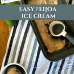 Easy Feijoa Ice Cream Recipe for Summer Pinterest Pin