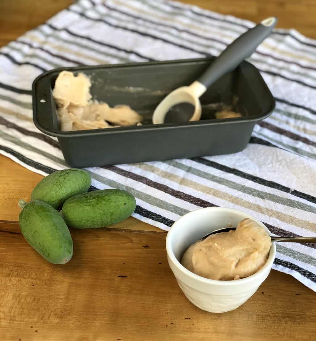 The Best Feijoa Ice Cream 