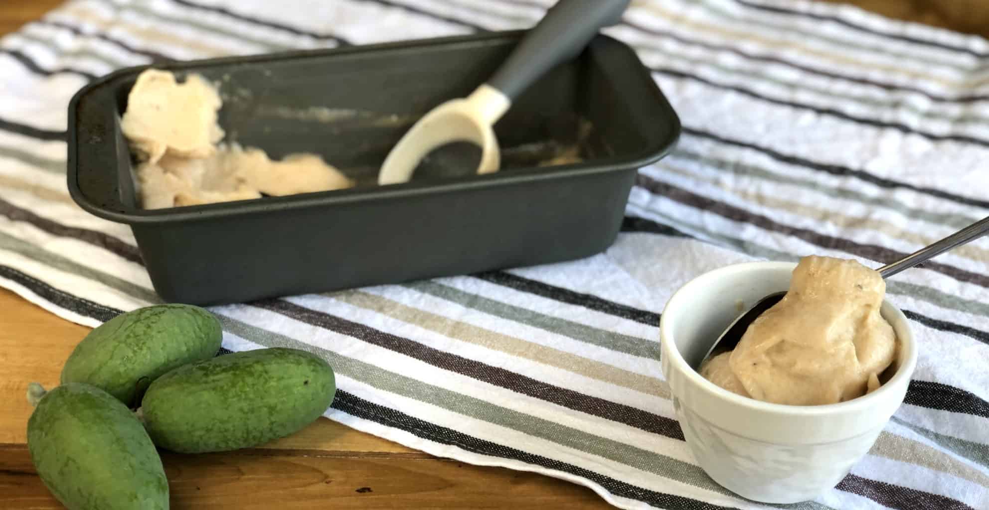 Easy Feijoa Ice Cream 