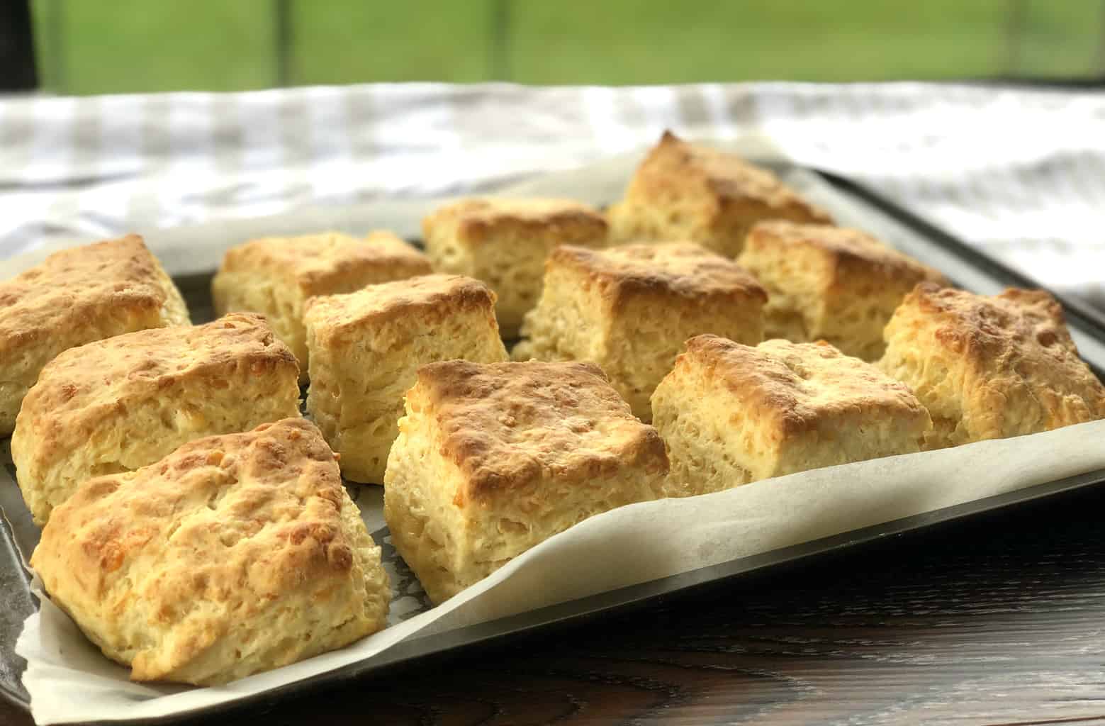 Tray of freshly baked warm cheese scones 