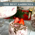 The Best Ambrosia Recipe for Parties and BBQs Pinterest Pin