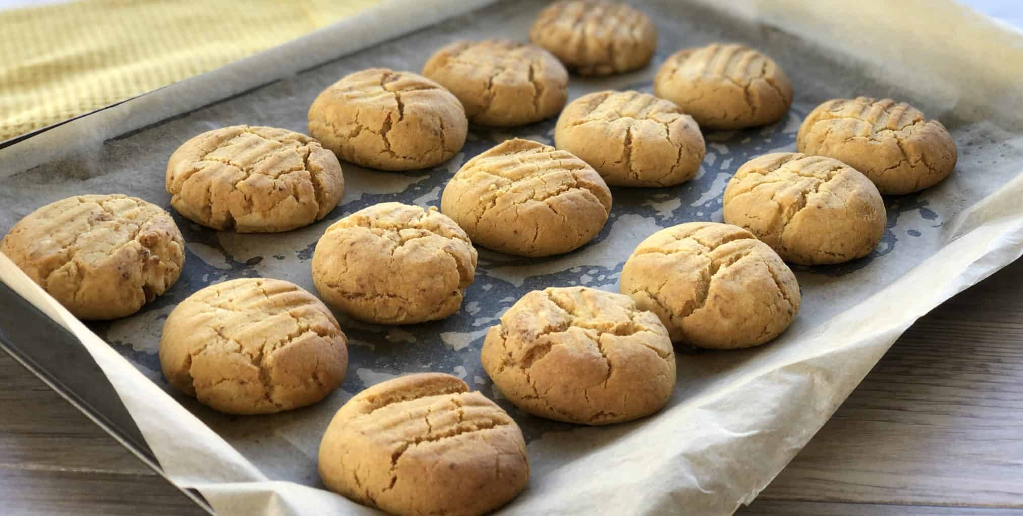 Oven tray full of warm hokey pokey biscuits on baking paper 