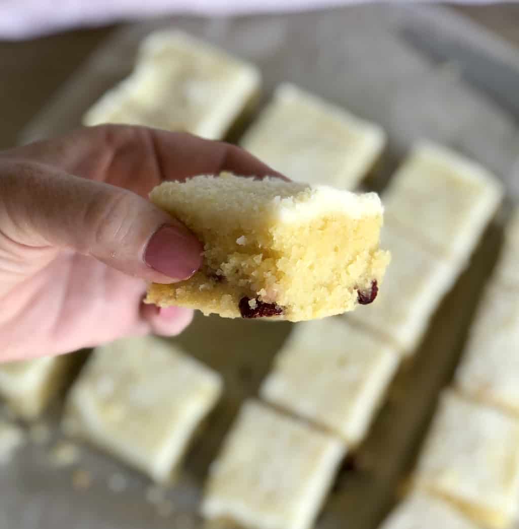 A hand holding a piece of coconut slice 