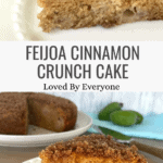 Best Feijoa Cinnamon Crunch Cake for Family Baking Pinterest Pin