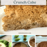 Easy Feijoa Cinnamon Crunch Cake Recipe Pinterest Pin