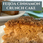 Feijoa Cinnamon Crunch Cake - A Cosy Autumn Bake Pinterest Pin