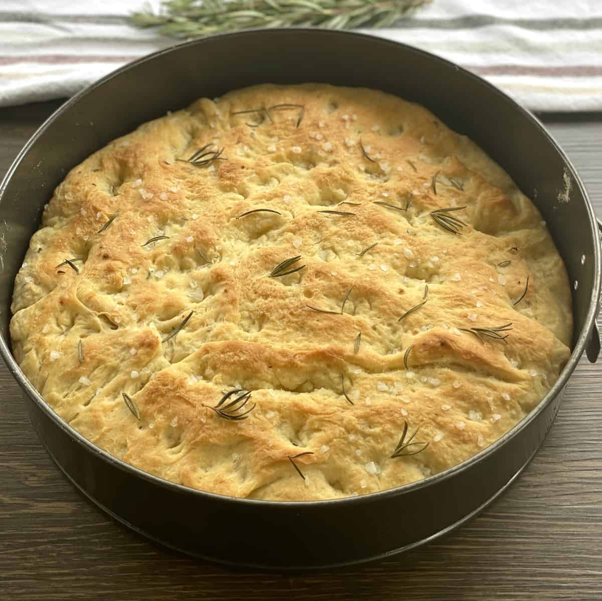 Freshly baked golden brown focaccia bread 