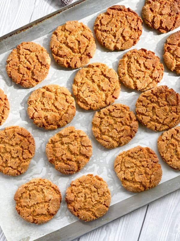 The Best Ginger Biscuits With Crystallised Ginger Bits Just A Mums Kitchen