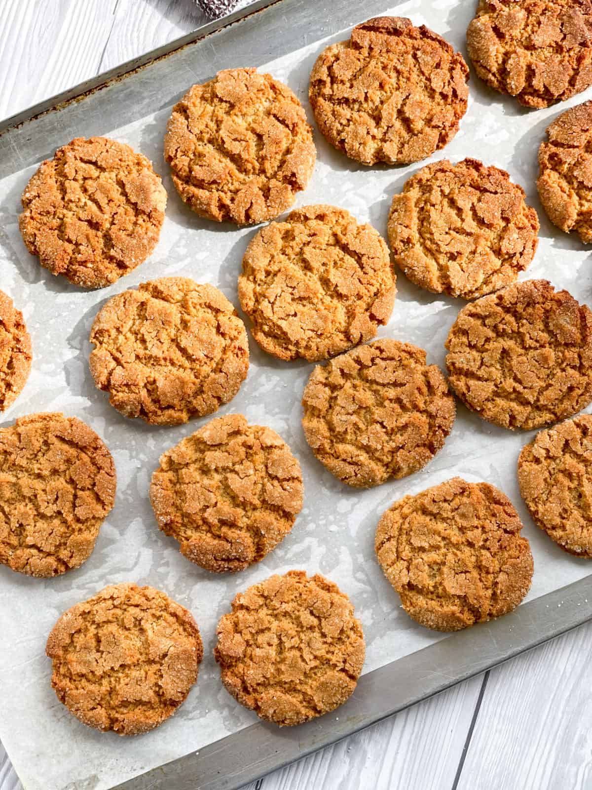 Warm Ginger biscuits baked to golden brown on a baking tray 