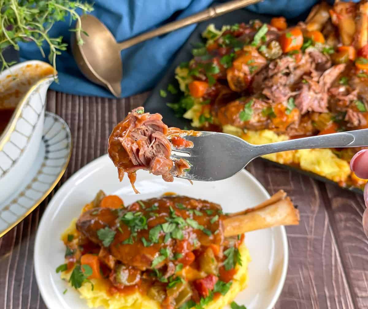 a fork full of tender fall apart lamb shanks in red wine sauce 