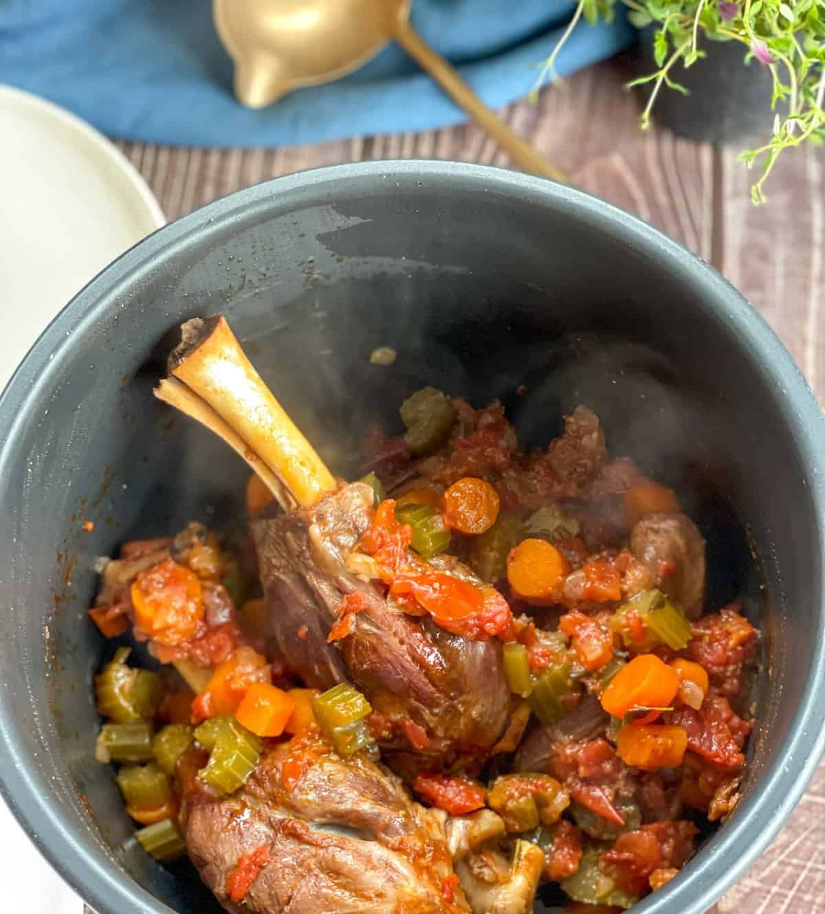 Tender lamb shanks, meat is falling off the bone in the slow cooker, separated from the cooking liquids