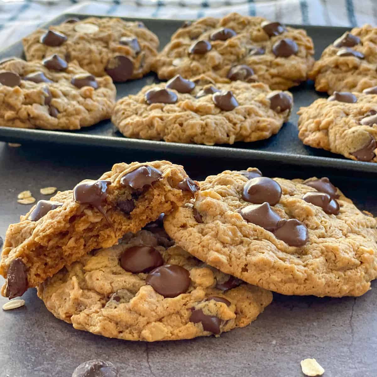 Close up photo of large flourless peanut butter chocolate and rolled oats cookies 