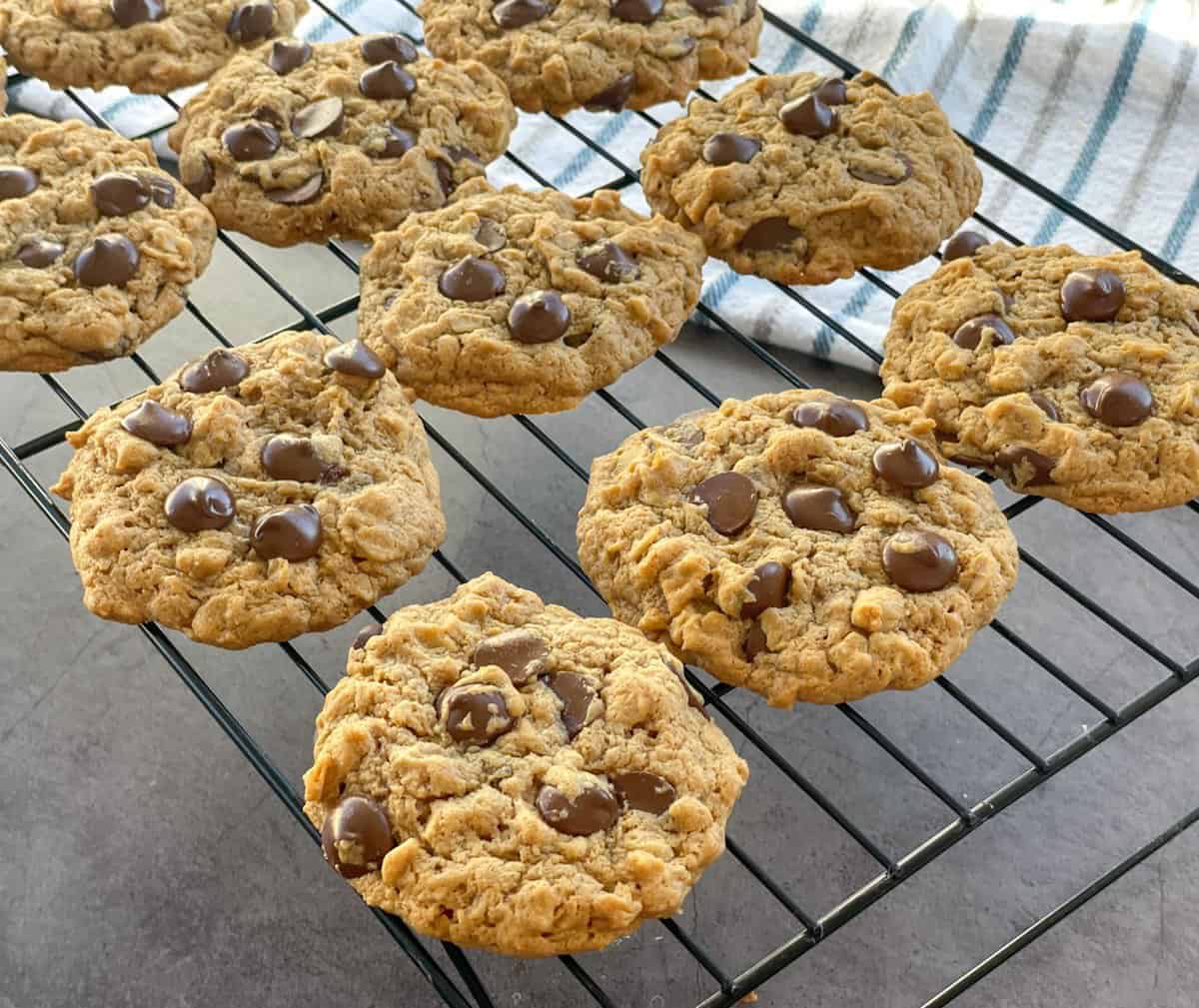 Freshly baked warm flourless peanut butter, oatmeal and chocolate cookies 