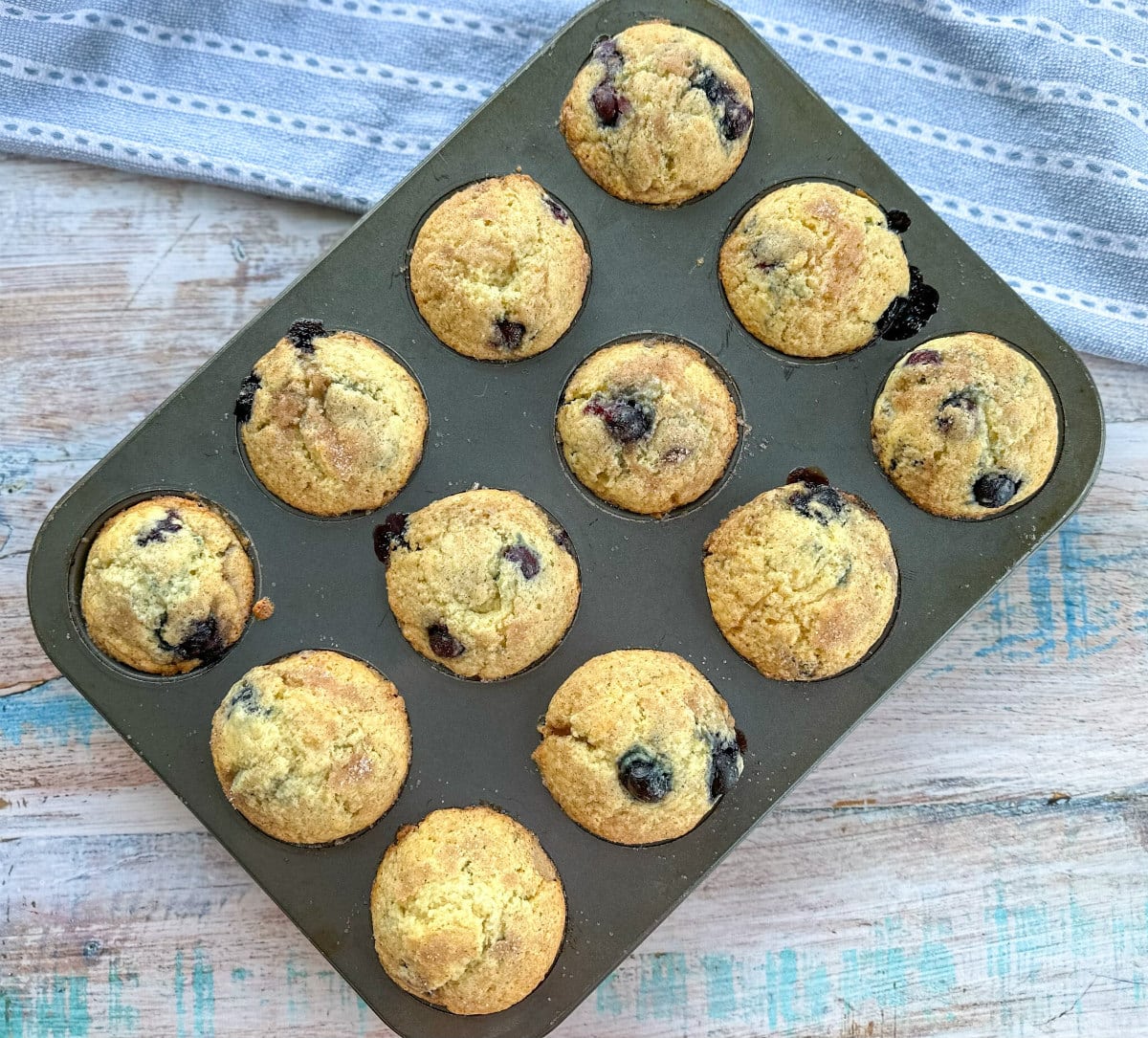 Freshly baked blueberry muffins in a baking tray 