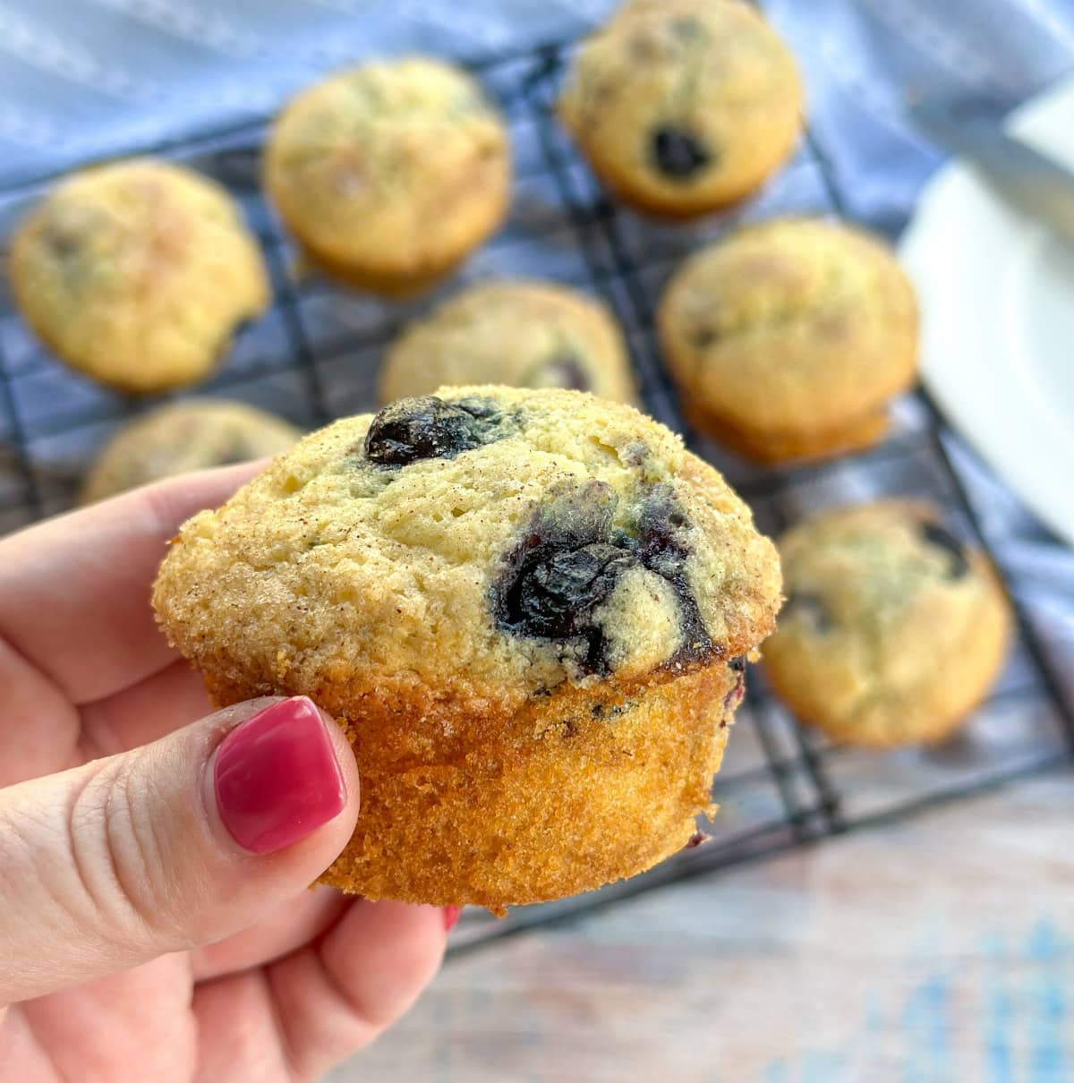 A hand with nail polish holding a freshly baked blue berry muffin with a sugar topping