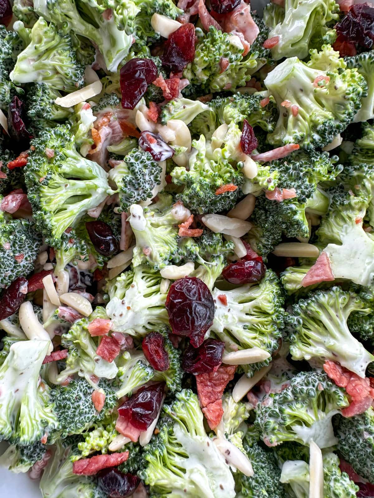Closes up photograph showing creamy broccoli salad with cranberries and almonds, crispy bacon and a creamy coleslaw dressing