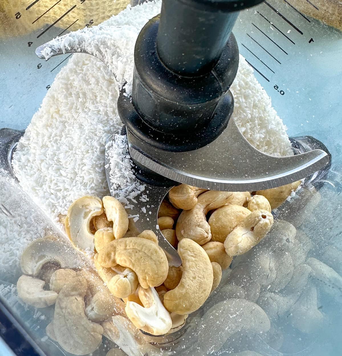 Ninja food blender with raw cashews and coconut 