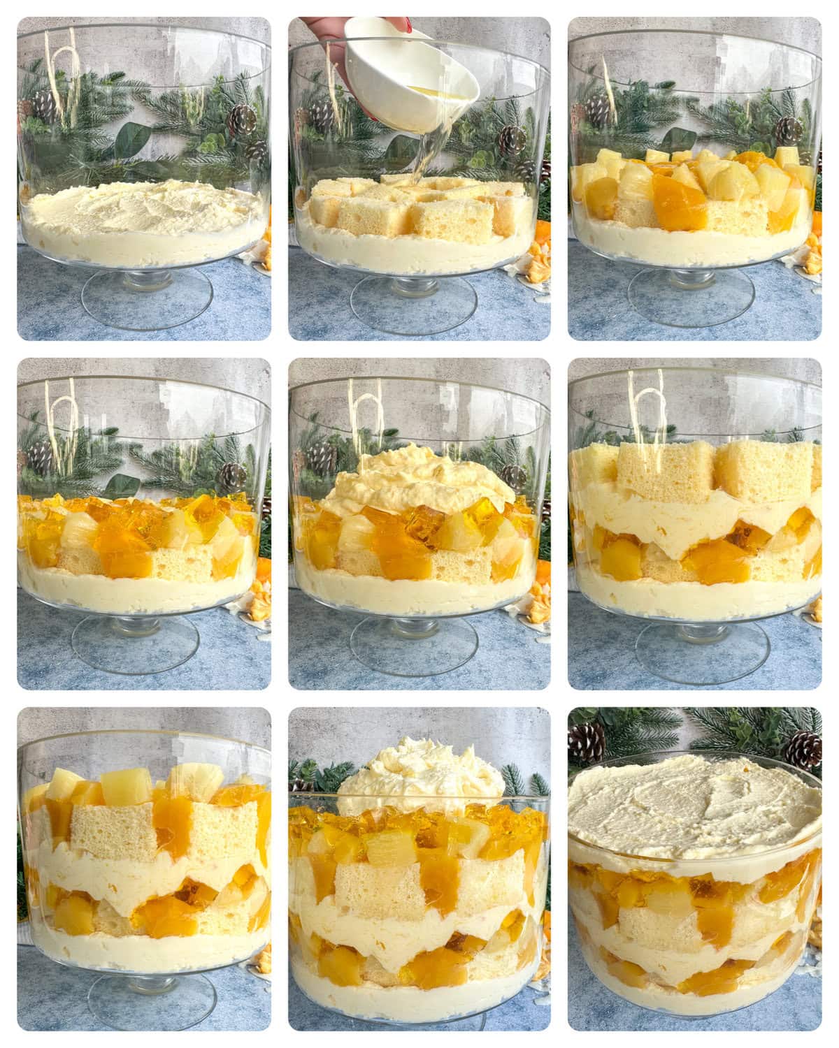 How to assemble the layers of my tropical trifle and what order. 