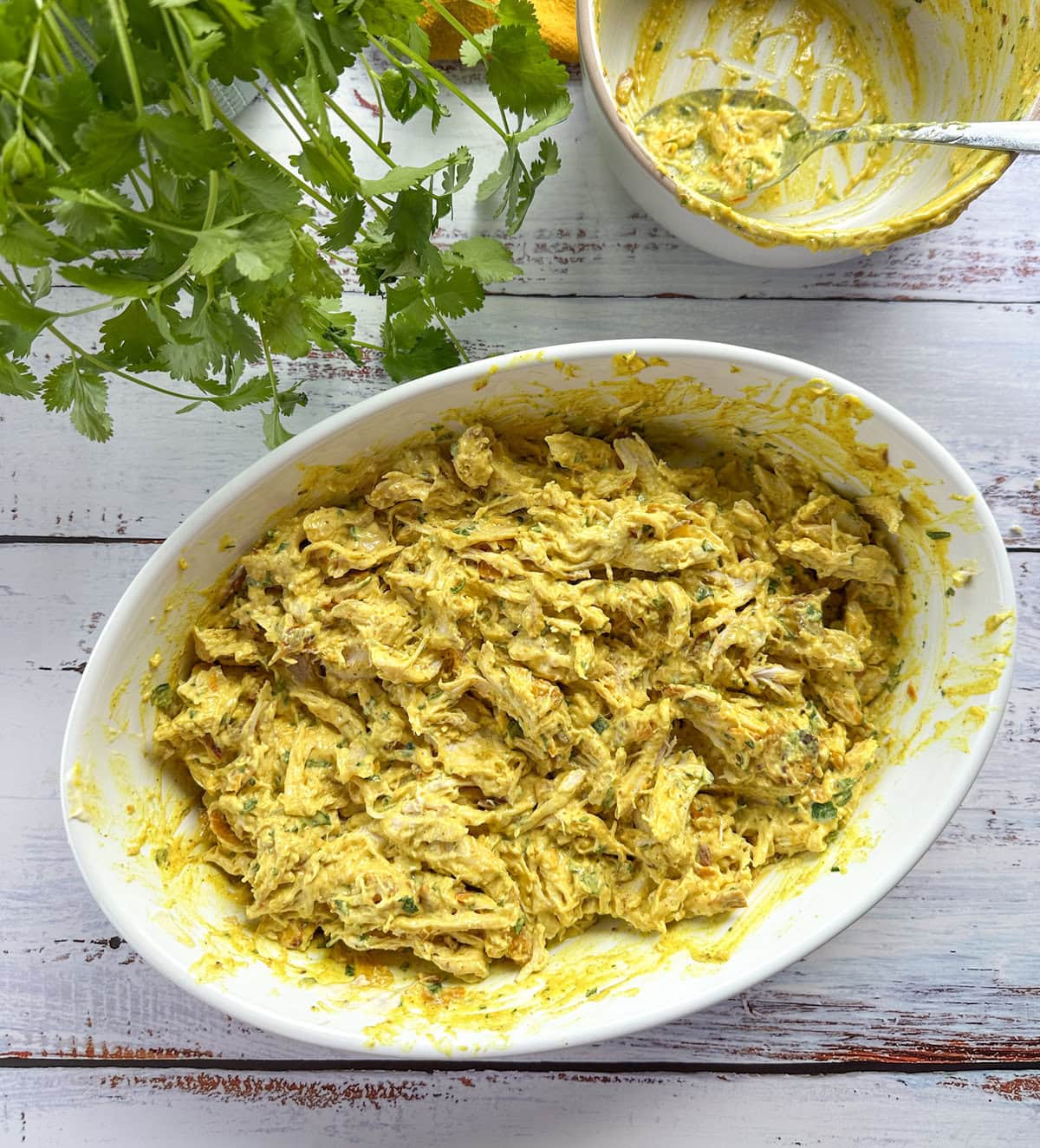 Mixed Coriander Chicken 