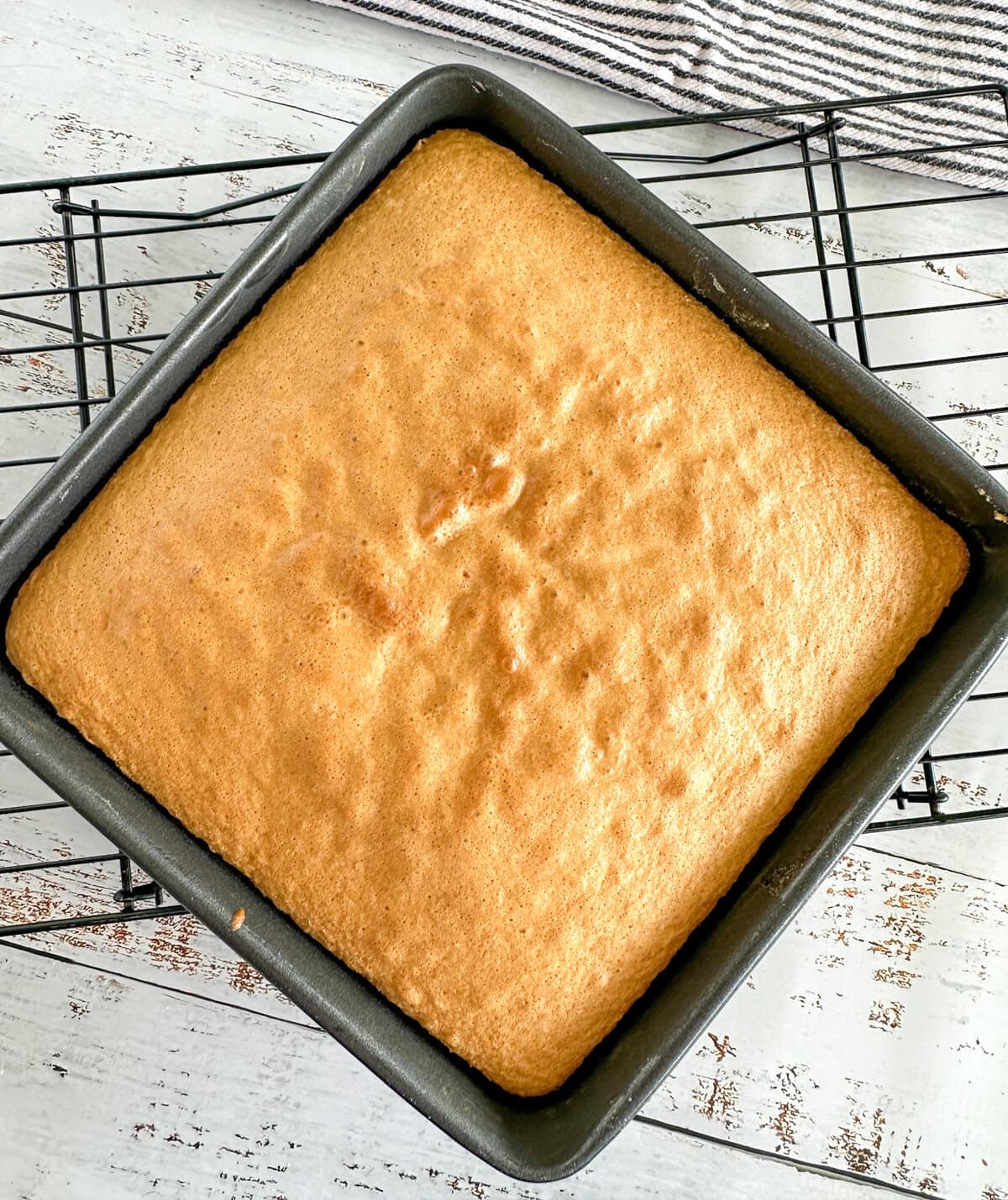 freshly baked gluten free sponge