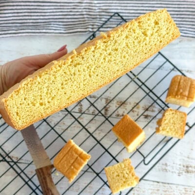 Cross section of a sponge made for lamingtons