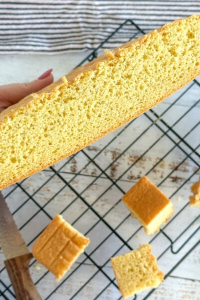 Cross section of a sponge made for lamingtons