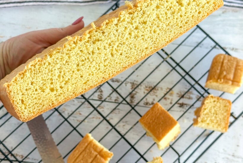 Cross section of a sponge made for lamingtons